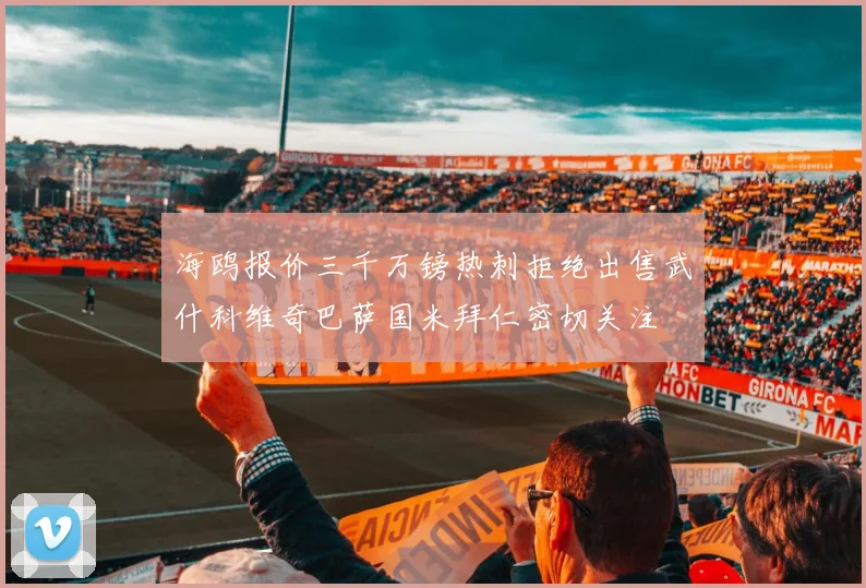 海鸥报价三千万镑热刺拒绝出售武什科维奇巴萨国米拜仁密切关注