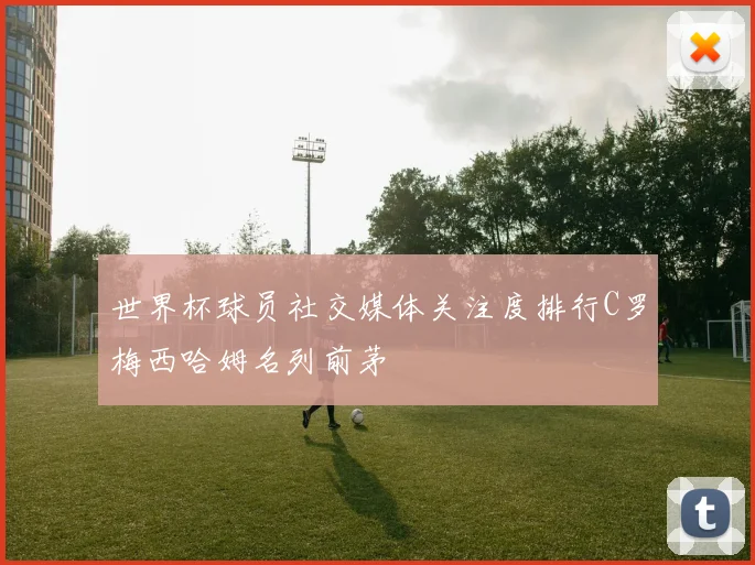 世界杯球员社交媒体关注度排行C罗梅西哈姆名列前茅
