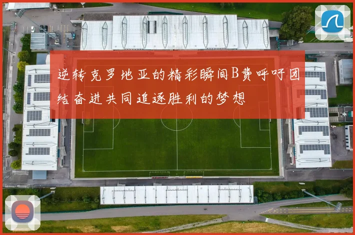 逆转克罗地亚的精彩瞬间B费呼吁团结奋进共同追逐胜利的梦想