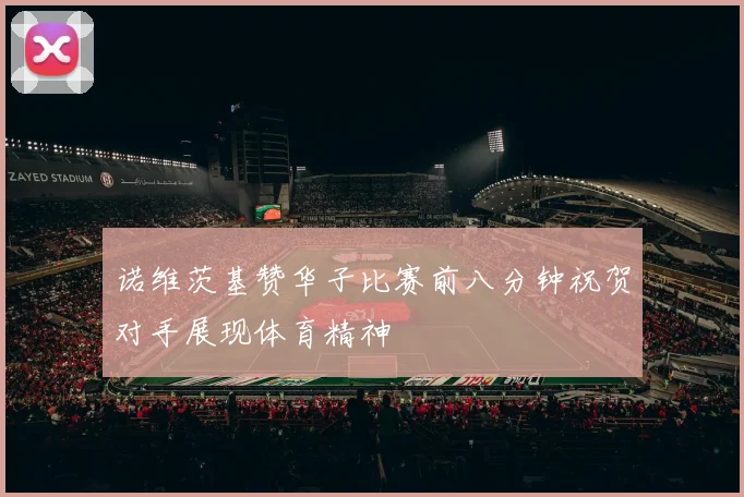 诺维茨基赞华子比赛前八分钟祝贺对手展现体育精神