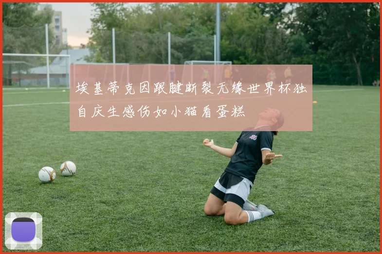 埃基蒂克因跟腱断裂无缘世界杯独自庆生感伤如小猫看蛋糕